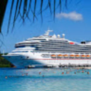 Meet your Posher, Judy